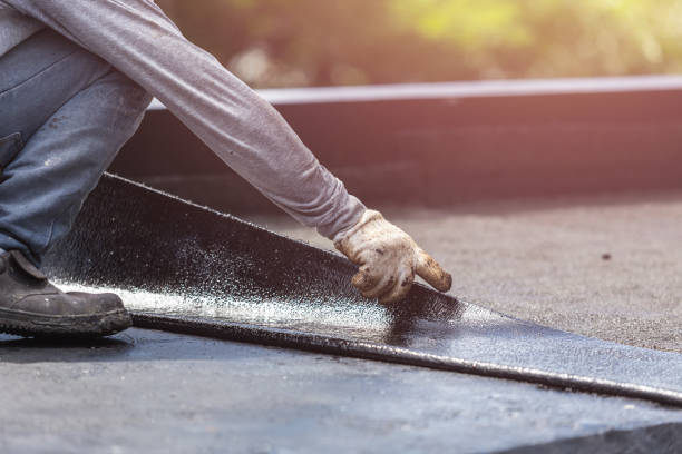 Professional Interior Drainage System technician working in Falls Church, VA